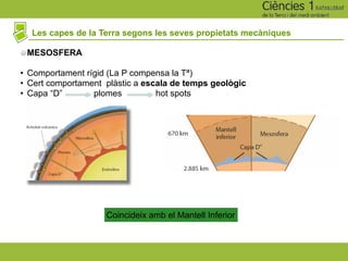 Les capes de la Terra segons les seves propietats mecàniques
MESOSFERA
• Comportament rígid (La P compensa la Tª)
• Cert comportament plàstic a escala de temps geològic
• Capa “D” plomes hot spots
Coincideix amb el Mantell Inferior
 