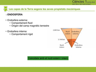 Les capes de la Terra segons les seves propietats mecàniques
ENDOSFERA
• Endosfera externa:
• Comportament fluid
• Origen del camp magnètic terrestre
• Endosfera interna:
• Comportament rígid
Coincideix amb el nucli extern i intern
 