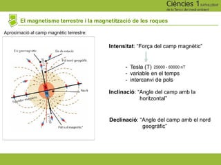 El magnetisme terrestre i la magnetització de les roques
Aproximació al camp magnètic terrestre:
Intensitat: “Força del camp magnètic”
- Tesla (T)
- variable en el temps
- intercanvi de pols
Inclinació: “Angle del camp amb la
horitzontal”
Declinació: “Angle del camp amb el nord
geogràfic”
25000 - 60000 nT
 