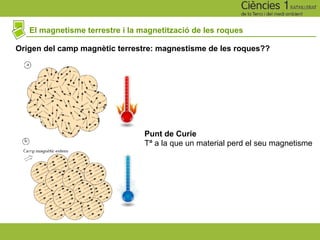 El magnetisme terrestre i la magnetització de les roques
Origen del camp magnètic terrestre: magnestisme de les roques??
Punt de Curie
Tª a la que un material perd el seu magnetisme
 