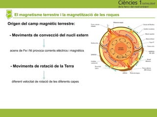 El magnetisme terrestre i la magnetització de les roques
Origen del camp magnètic terrestre:
- Moviments de convecció del nucli extern
acens de Fe i Ni provoca corrents elèctrics i magnètics
- Moviments de rotació de la Terra
diferent velocitat de rotació de les diferents capes
 