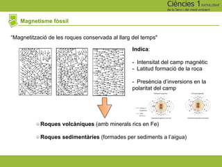 Magnetisme fòssil
“Magnetització de les roques conservada al llarg del temps"
Indica:
- Intensitat del camp magnètic
- Latitud formació de la roca
- Presència d’inversions en la
polaritat del camp
Roques volcàniques (amb minerals rics en Fe)
Roques sedimentàries (formades per sediments a l’aigua)
 