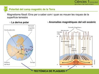 Polaritat del camp magnètic de la Terra
Magnetisme fóssil: Eina per a saber com i quan es mouen les roques de la
superfície terrestre
Anomalies magnètiques del sòl oceànic
La deriva polar
TECTÒNICA DE PLAQUES
 