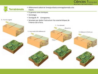 Terratrèmols
• Alliberament sobtat de l’energia elàstica emmagatzemada a les
roques.
• Es generen ones sísmiques.
• Sismologia.
• Sismògrafs à sismogrames.
• Serveixen per deduir l’estructura i les característiques de
l’interior de la Terra.
 