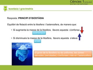 Isostàsia i gravimetria
Resposta: PRINCIPI D’ISOSTÀSIA
Equilibri de flotació entre la litosfera i l’astenosfera, de manera que:
• Si augmenta la massa de la litosfera, llavors aquesta s’enfonsa
• Si disminueix la massa de la litosfera, llavors aquesta s’eleva
El gruix de la litosfera no és uniforme, les zones
elevades (serralades) s’enfonsen més en l’astenosfera
erosió
sedimentació
 