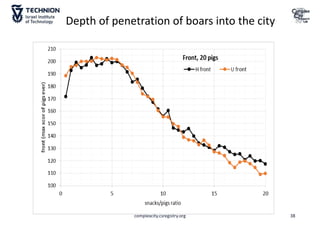 complexcity.csregistry.org 38
Depth of penetration of boars into the city
 