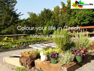 Colour your life in Czech
     Miroslava Paclová
 