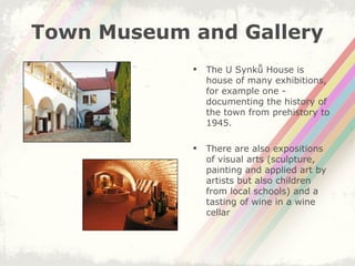 Town Museum and Gallery The U Synků House is house of many exhibitions, for example one - documenting the history of the town from prehistory to 1945. There are also expositions of visual arts (sculpture, painting and applied art by artists but also children from local schools) and a tasting of wine in a wine cellar  