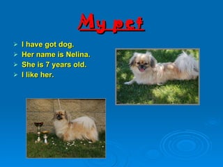 My pet I have got dog. Her name is Nelina. She is 7 years old. I like her. 