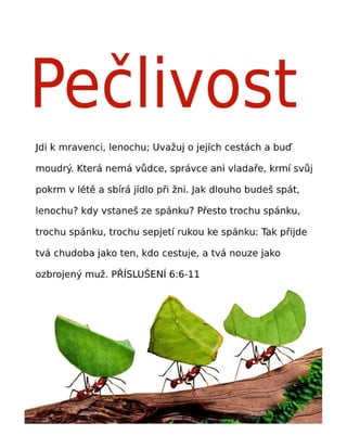 Czech Motivational Diligence Tract.pdf