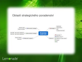 Oblasti strategického poradenství
 