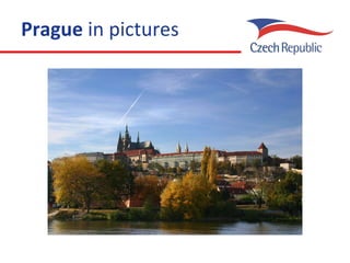 Prague  in pictures 
