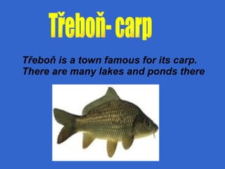 Třeboň is a town famous for its  carp.  There are many lakes and ponds there Třeboň- carp 