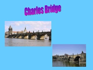 Charles Bridge 