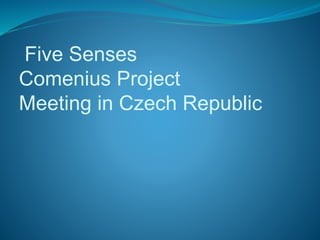 Five Senses
Comenius Project
Meeting in Czech Republic
 