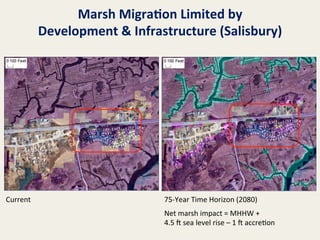 Marsh	
  Migra8on	
  Limited	
  by
	
  
Development	
  &	
  Infrastructure	
  (Salisbury)
	
  

Current	
  

75-­‐Year	
  Time	
  Horizon	
  (2080)	
  
	
  

Net	
  marsh	
  impact	
  =	
  MHHW	
  +	
  
4.5	
  l	
  sea	
  level	
  rise	
  –	
  1	
  l	
  accre@on	
  

 
