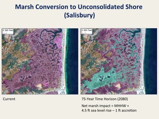 Marsh	
  Conversion	
  to	
  Unconsolidated	
  Shore	
  
(Salisbury)
	
  

Current	
  

75-­‐Year	
  Time	
  Horizon	
  (2080)	
  
	
  

Net	
  marsh	
  impact	
  =	
  MHHW	
  +	
  
4.5	
  l	
  sea	
  level	
  rise	
  –	
  1	
  l	
  accre@on	
  

 