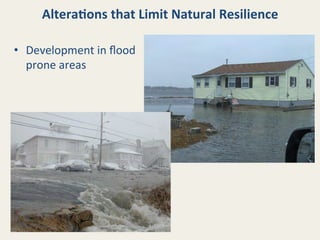 Altera8ons	
  that	
  Limit	
  Natural	
  Resilience	
  
•  Development	
  in	
  ﬂood	
  
prone	
  areas	
  

 