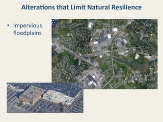 Altera8ons	
  that	
  Limit	
  Natural	
  Resilience	
  
•  Impervious	
  
ﬂoodplains	
  

 