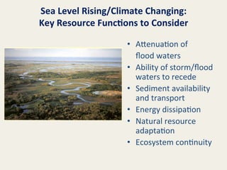 Sea	
  Level	
  Rising/Climate	
  Changing:	
  	
  
Key	
  Resource	
  Func8ons	
  to	
  Consider	
  
•  A8enua@on	
  of	
  	
  
	
  ﬂood	
  waters	
  
•  Ability	
  of	
  storm/ﬂood	
  
waters	
  to	
  recede	
  
•  Sediment	
  availability	
  
and	
  transport	
  
•  Energy	
  dissipa@on	
  
•  Natural	
  resource	
  
adapta@on	
  
•  Ecosystem	
  con@nuity	
  

 