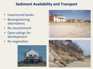 Sediment	
  Availability	
  and	
  Transport	
  
•  Unarmored	
  banks	
  
•  Bioengineering	
  
alterna@ves	
  
•  Re-­‐nourishment	
  
•  Open	
  pilings	
  for	
  
development	
  
•  Re-­‐vegeta@on	
  

 