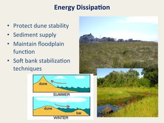 Energy	
  Dissipa8on	
  
•  Protect	
  dune	
  stability	
  
•  Sediment	
  supply	
  
•  Maintain	
  ﬂoodplain	
  
func@on	
  
•  Sol	
  bank	
  stabiliza@on	
  
techniques	
  

 