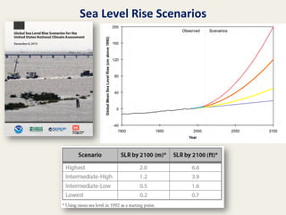 Sea	
  Level	
  Rise	
  Scenarios	
  

 