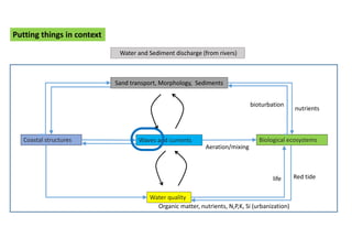Coastal structures
Sand transport, Morphology, Sediments
Waves and currents
Water quality
Biological ecosystems
Water and Sediment discharge (from rivers)
Aeration/mixing
life Red tide
bioturbation
nutrients
Organic matter, nutrients, N,P,K, Si (urbanization)
Putting things in context
 