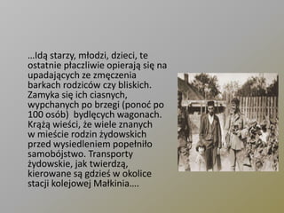 	…Idą starzy, młodzi, dzieci, te ostatnie płaczliwie opierają się na upadających ze zmęczenia barkach rodziców czy bliskich. Zamyka się ich ciasnych, wypchanych po brzegi (ponoć po 100 osób)  bydlęcych wagonach. Krążą wieści, że wiele znanych w mieście rodzin żydowskich przed wysiedleniem popełniło samobójstwo. Transporty żydowskie, jak twierdzą, kierowane są gdzieś w okolice stacji kolejowej Małkinia….