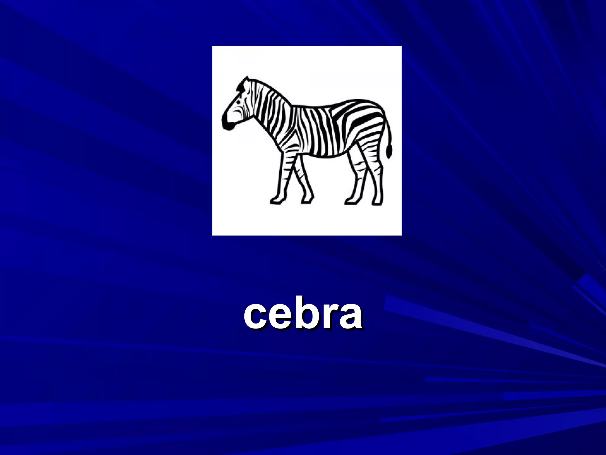 cebra

 