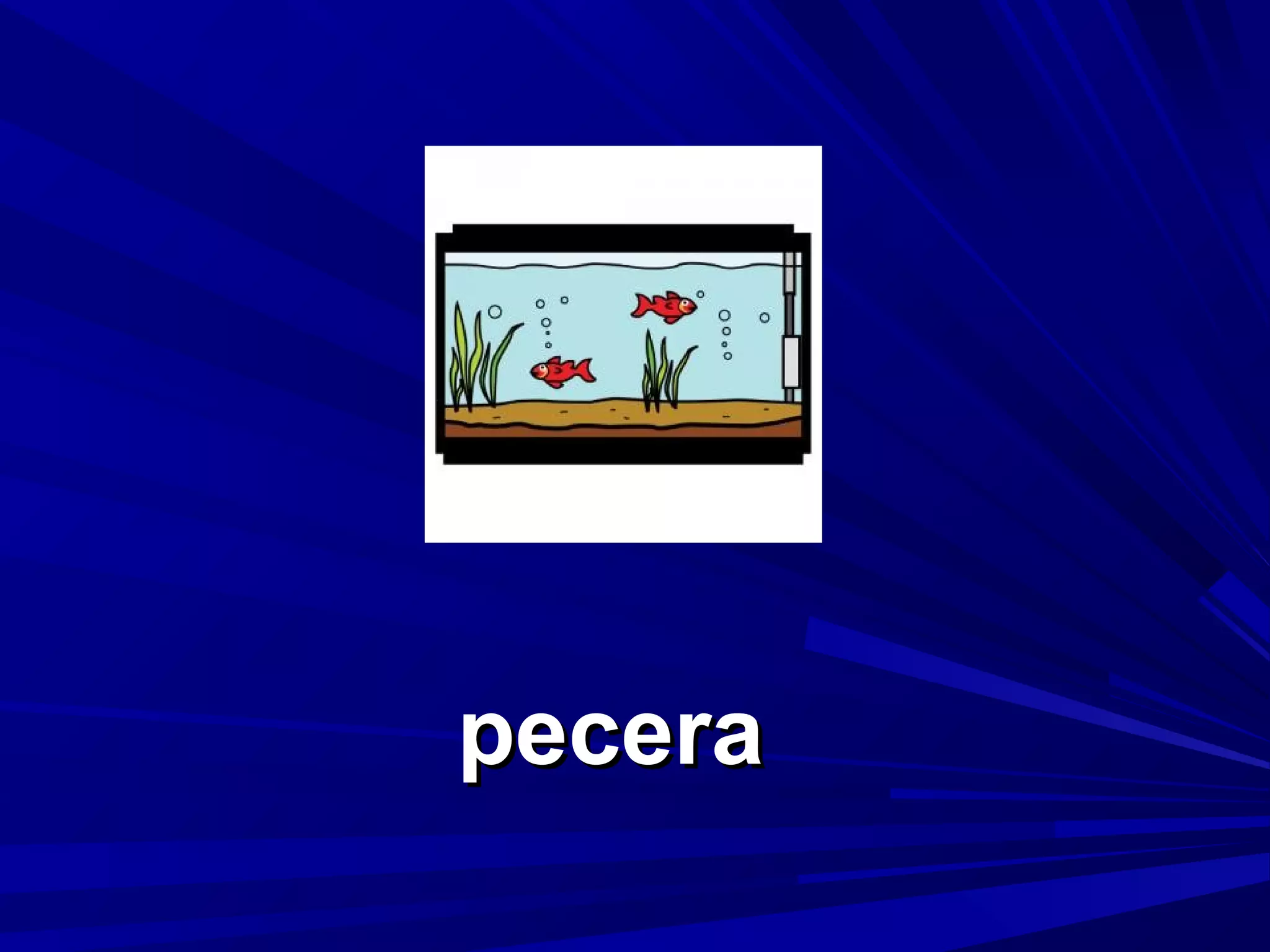 pecera

 