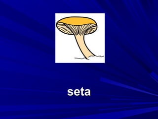seta