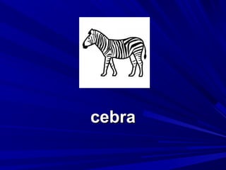 cebra

 