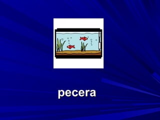 pecera