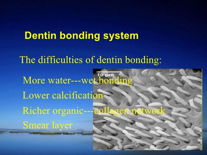 Operative Dentistry 3