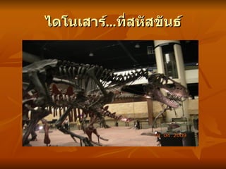 ไดโนเสาร์...ที่สหัสขันธ์
         ...
 