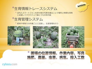 *生育情報トレースシステム
*   GPS入スマートフォンを持ち毎日写真を撮ることで場所と時間も同時
    に記録してクラウド上で誰とでも共有可能

*生育管理システム
*   肥料や草取りの作業ごとに記録し、生産管理を行う




         *
 