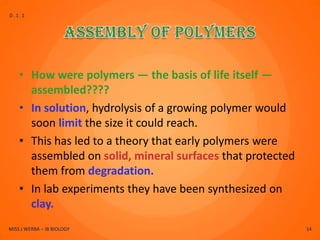 D.1.1




    • How were polymers — the basis of life itself —
      assembled????
    • In solution, hydrolysis of a growing polymer would
      soon limit the size it could reach.
    • This has led to a theory that early polymers were
      assembled on solid, mineral surfaces that protected
      them from degradation.
    • In lab experiments they have been synthesized on
      clay.
MISS J WERBA – IB BIOLOGY                                   14
 