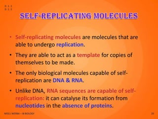 D.1.1
D.1.5




    • Self-replicating molecules are molecules that are
      able to undergo replication.
    • They are able to act as a template for copies of
      themselves to be made.
    • The only biological molecules capable of self-
      replication are DNA & RNA.
    • Unlike DNA, RNA sequences are capable of self-
      replication: it can catalyse its formation from
      nucleotides in the absence of proteins.
MISS J WERBA – IB BIOLOGY                                 20
 