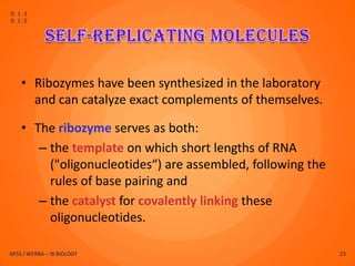 D.1.1
D.1.5




    • Ribozymes have been synthesized in the laboratory
      and can catalyze exact complements of themselves.

    • The ribozyme serves as both:
       – the template on which short lengths of RNA
         ("oligonucleotides“) are assembled, following the
         rules of base pairing and
       – the catalyst for covalently linking these
         oligonucleotides.

MISS J WERBA – IB BIOLOGY                                    23
 