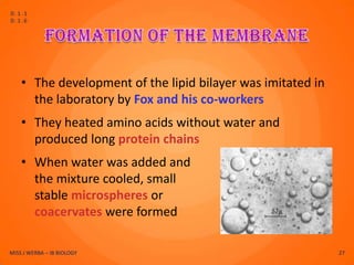 D.1.1
D.1.6




    • The development of the lipid bilayer was imitated in
      the laboratory by Fox and his co-workers
    • They heated amino acids without water and
      produced long protein chains
    • When water was added and
      the mixture cooled, small
      stable microspheres or
      coacervates were formed

MISS J WERBA – IB BIOLOGY                                    27
 