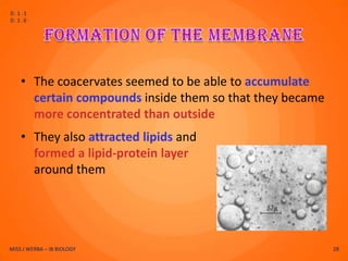 D.1.1
D.1.6




    • The coacervates seemed to be able to accumulate
      certain compounds inside them so that they became
      more concentrated than outside
    • They also attracted lipids and
      formed a lipid-protein layer
      around them




MISS J WERBA – IB BIOLOGY                                 28
 