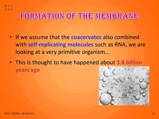 D.1.1
D.1.6




    • If we assume that the coacervates also combined
      with self-replicating molecules such as RNA, we are
      looking at a very primitive organism...
    • This is thought to have happened about 3.8 billion
      years ago




MISS J WERBA – IB BIOLOGY                                   29
 