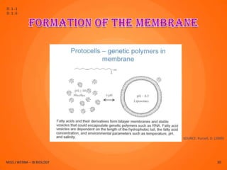 D.1.1
D.1.6




                            SOURCE: Purcell, D. (2009)




MISS J WERBA – IB BIOLOGY                        30
 