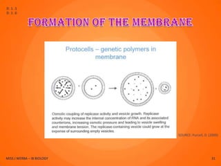 D.1.1
D.1.6




                            SOURCE: Purcell, D. (2009)




MISS J WERBA – IB BIOLOGY                        31
 