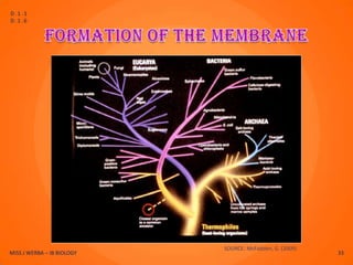 D.1.1
D.1.6




                            SOURCE: McFadden, G. (2009)
MISS J WERBA – IB BIOLOGY                                 33
 
