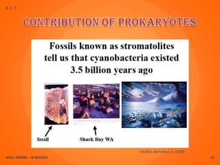 D.1.7




                            SOURCE: McFadden, G. (2009)
MISS J WERBA – IB BIOLOGY                                 43
 