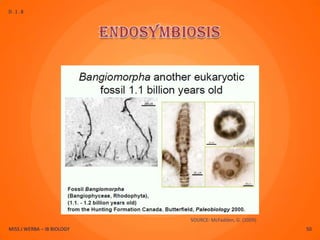 D.1.8




                            SOURCE: McFadden, G. (2009)
MISS J WERBA – IB BIOLOGY                                 50
 