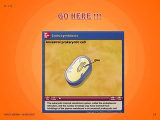 D.1.8




MISS J WERBA – IB BIOLOGY   53
 