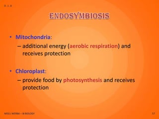 D.1.8




    • Mitochondria:
      – additional energy (aerobic respiration) and
        receives protection

    • Chloroplast:
       – provide food by photosynthesis and receives
         protection



MISS J WERBA – IB BIOLOGY                              57
 